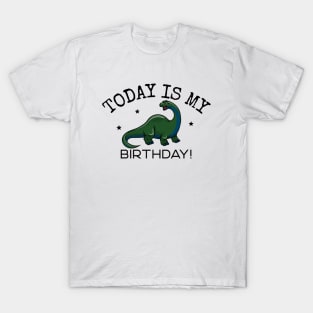 It's My Birthday Dinosaur T-Shirt